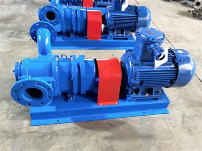 轉(zhuǎn)子泵-高粘度泵-高粘度轉(zhuǎn)子泵