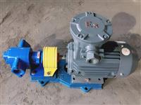 防爆齒輪泵-防爆油泵-銅齒輪泵