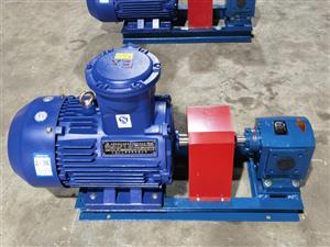 點火油泵-增壓燃油泵-DHB點火油泵