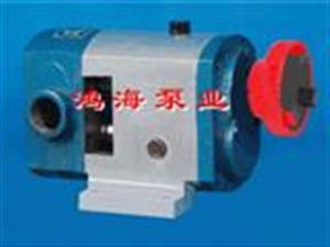 外潤滑齒輪泵-涂料泵-不銹鋼外潤滑齒輪泵