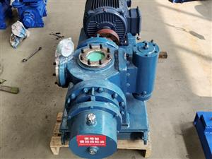 雙螺桿泵-螺桿泵-2LB雙螺桿泵