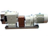 樹脂泵-糖蜜泵-稠油泵