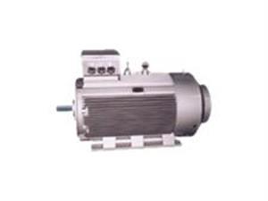電機-大功率電機-低電壓大電機