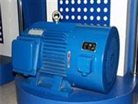 變頻調(diào)速電機-三相變頻調(diào)速電機