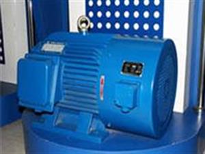 變頻調(diào)速電機-三相變頻調(diào)速電機