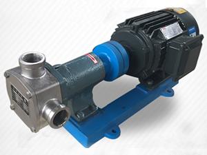 柔性轉(zhuǎn)子泵-節(jié)能泵
