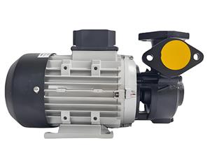 ys-15b-200高溫導熱油泵