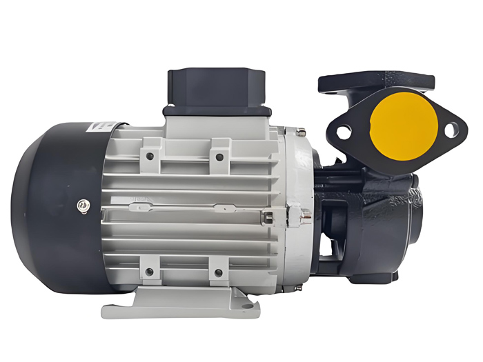 <strong>ys-15b-200高溫導(dǎo)熱油泵</strong>