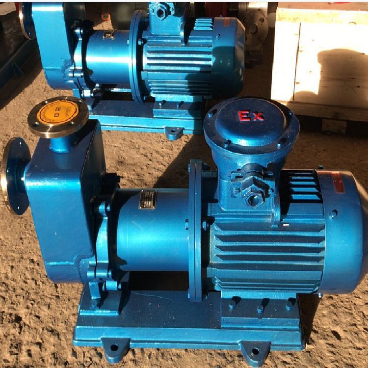 磁力驅(qū)動(dòng)泵