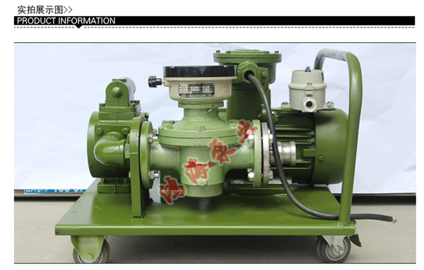 防爆計量抽油泵