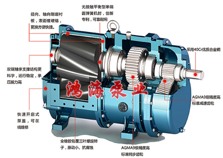 泊頭市鴻海泵業(yè)HTLB凸輪轉(zhuǎn)子泵 / 無堵塞排污泵 / 高粘度轉(zhuǎn)子泵