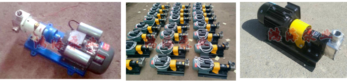 <strong>柔性轉(zhuǎn)子泵</strong>